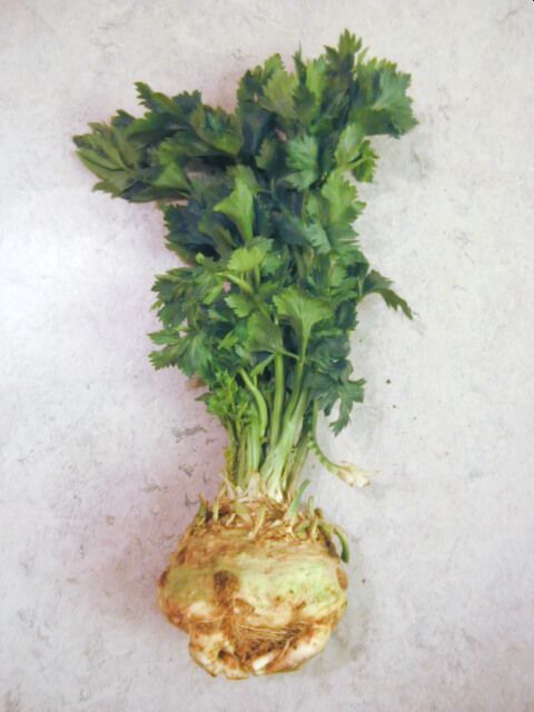 Celeriac